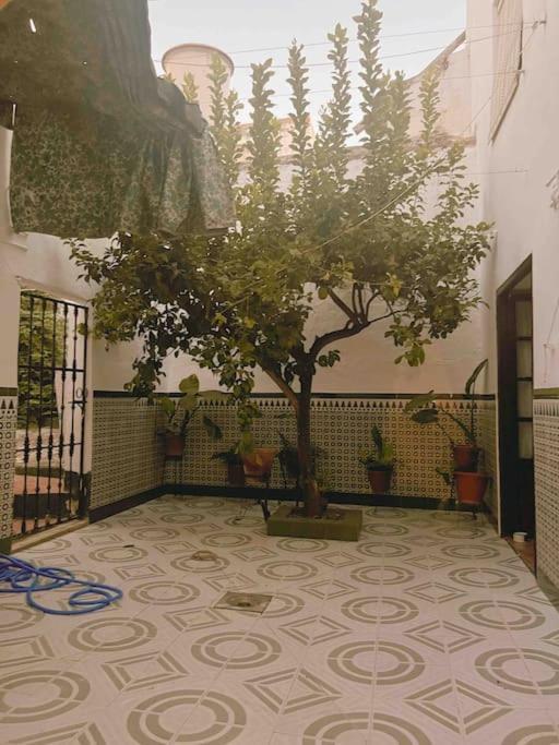 La Casa De Manolita Villa Baena Dış mekan fotoğraf